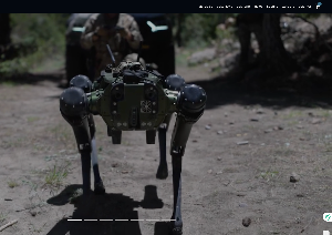 Organization Website